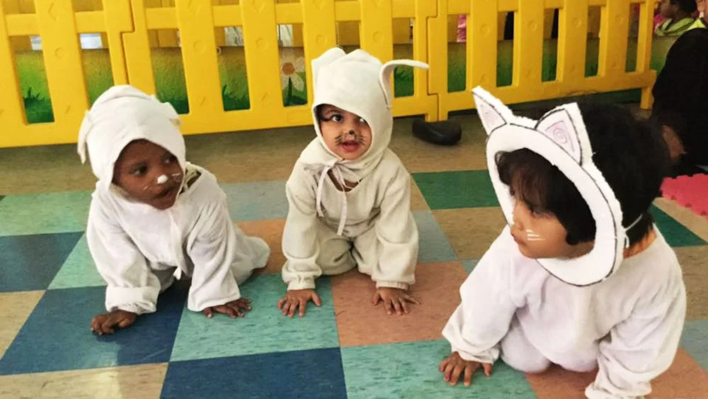 تجنيس مواليد السعودية